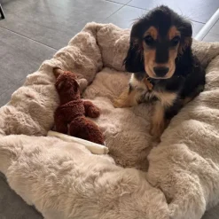 Ollipet Soft wave Lounge hundekurv