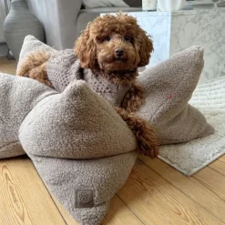 Ollipet StarNest Hundeseng | Teddy