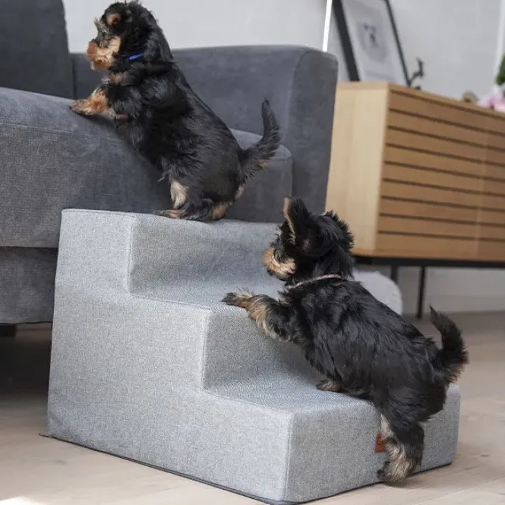 Ollipet Up Stairs | Hundetrappe