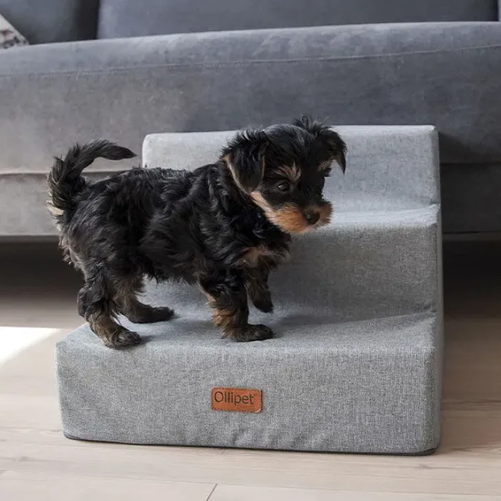 Ollipet Up Stairs | Hundetrappe