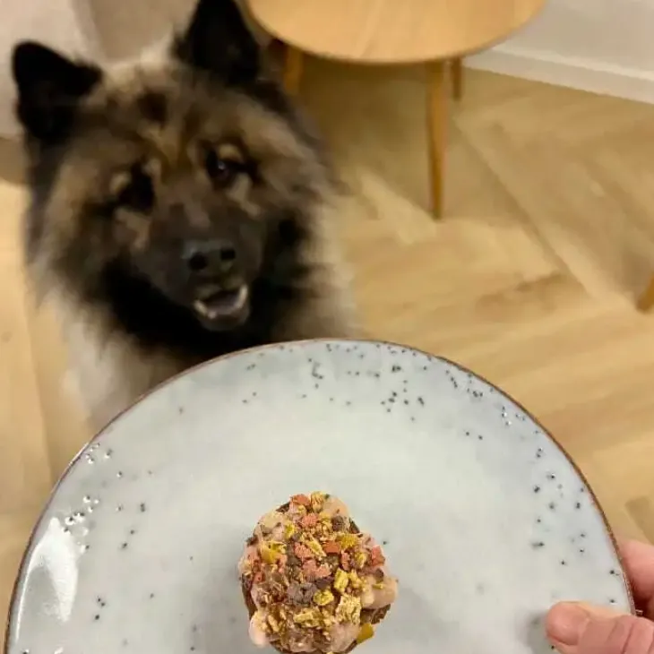 Pakketilbud | Bag-selv Hundekage