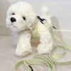 Pakketilbud | Ollie m. Sele og Hundesnor