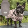 Pakketilbud | Strong body Pawfect Weather Gear