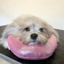 Show Tech Grooming Pude