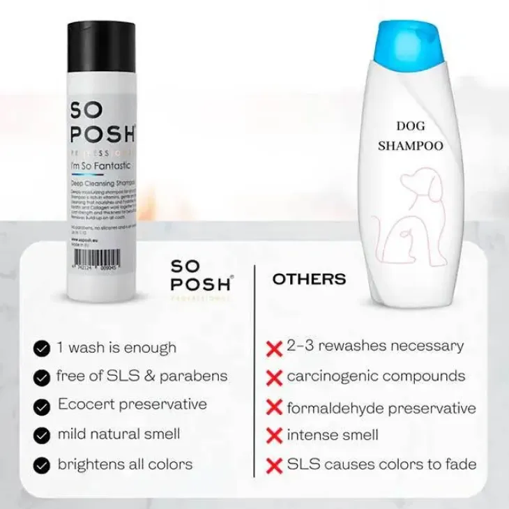 So Posh Professional I'm So Fantastic Shampoo