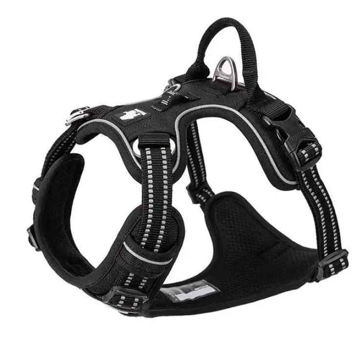 TrueLove Explosion Proof | LUKSUS Hundesele
