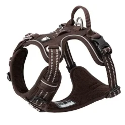 TrueLove Explosion Proof | LUKSUS Hundesele