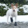 Walker Active Protective boots | hundestøvler 2 stk.